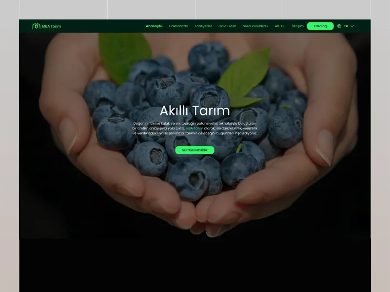 MBA Tarım tarımsal faaliyetler kurumsal web sitesi tasarımı, Klyne Creative Studio